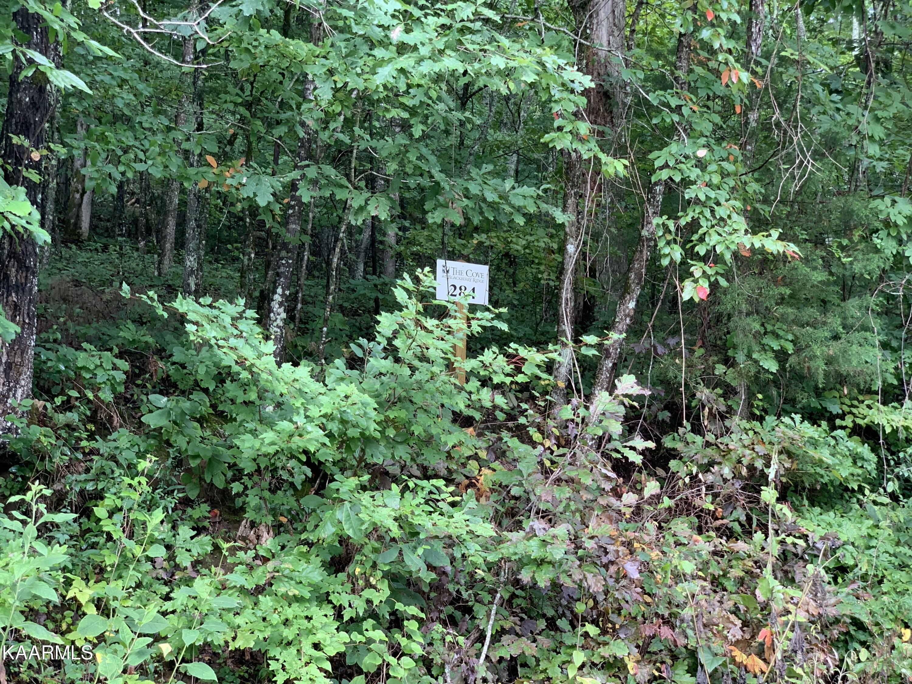 Loudon, TN Lakefront Land