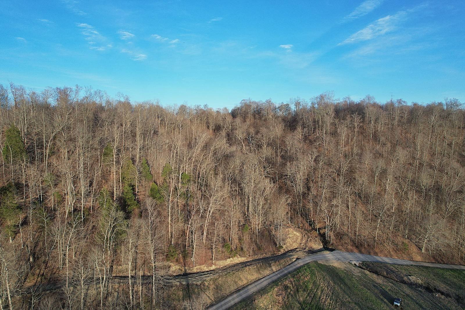 Liberty, KY Wooded Acreage