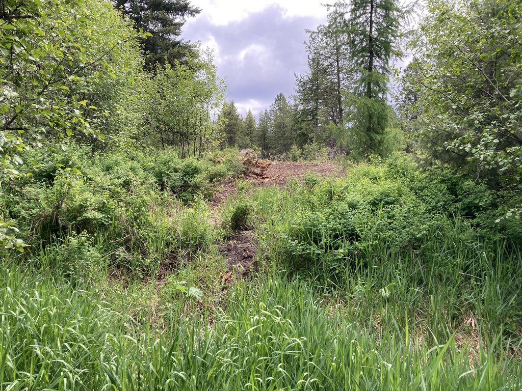 Picture 5