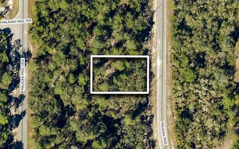 Land, OCKLAWAHA, FL