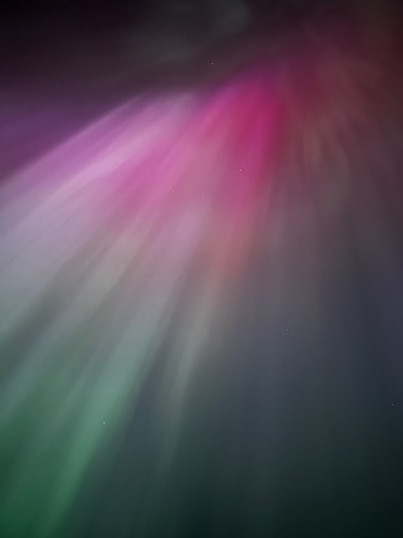 Picture 44