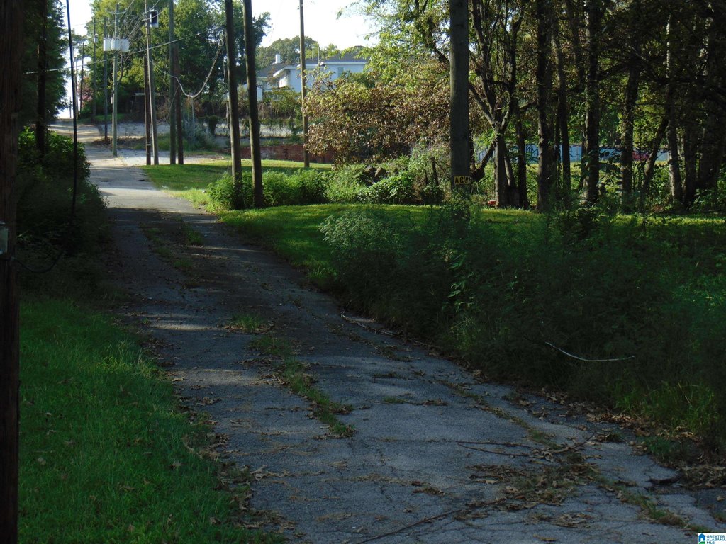Picture 4