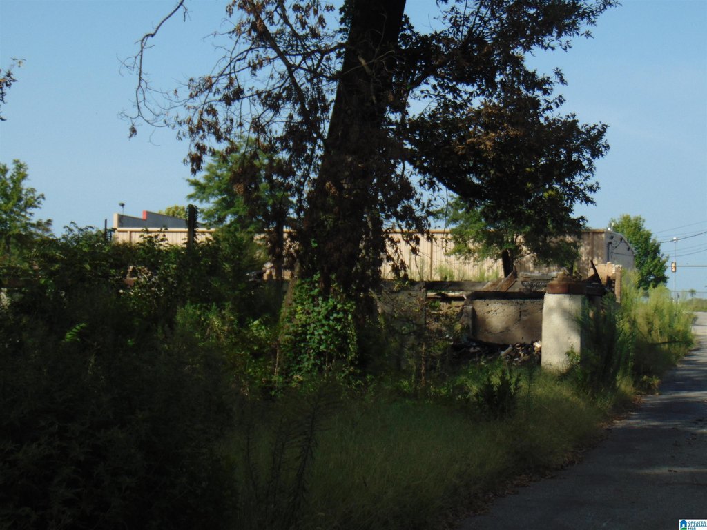 Picture 6
