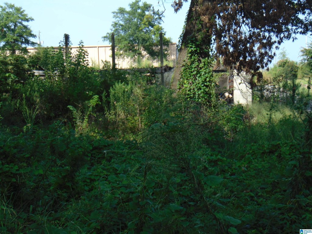 Picture 5