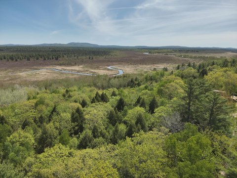 Passadumkeag Land with Water Frontage