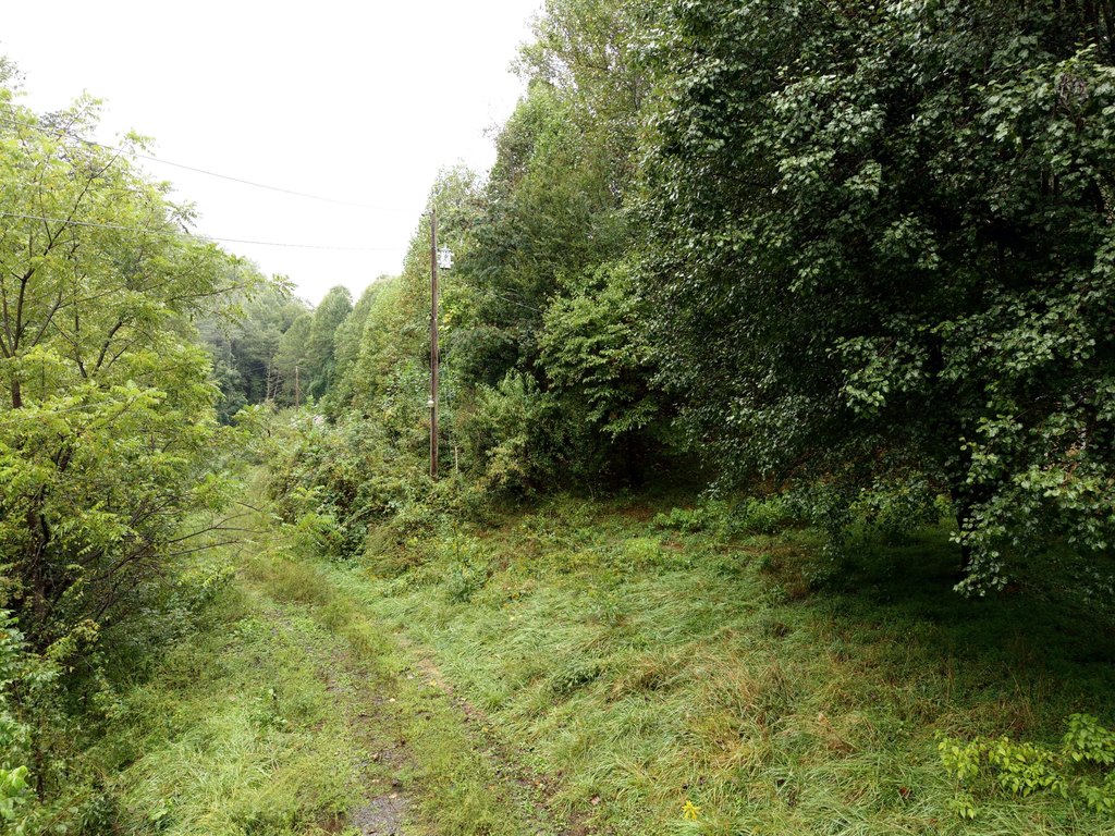 Picture 8