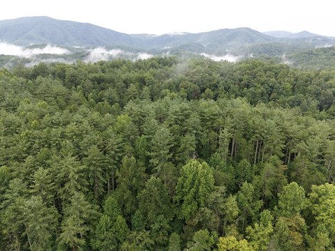 Land, Del Rio, TN