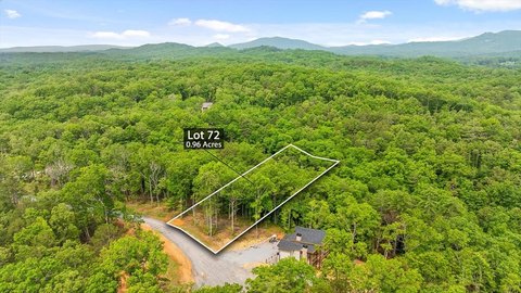 LAND - Mineral Bluff, GA