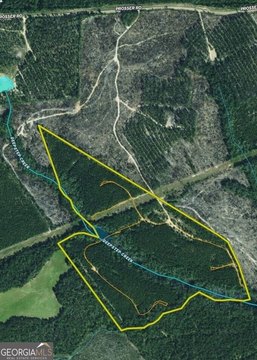 Wooded Hunting Land