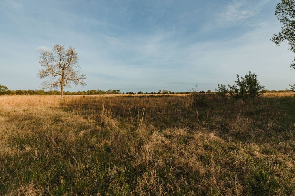 Picture 46