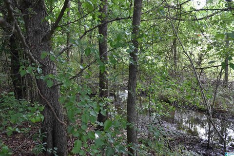 LAND - SYLACAUGA, AL