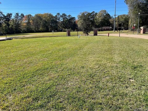 Residential Land in Denham Springs