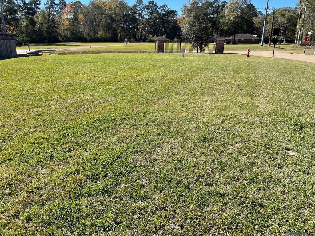 Picture 3