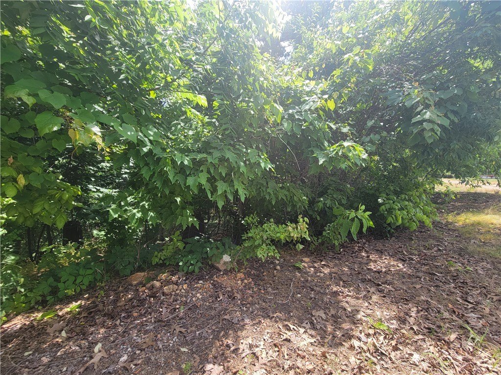 Bella Vista Land For Sale