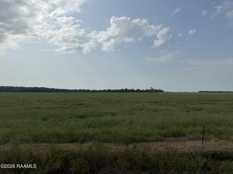 Land, Ville Platte, LA