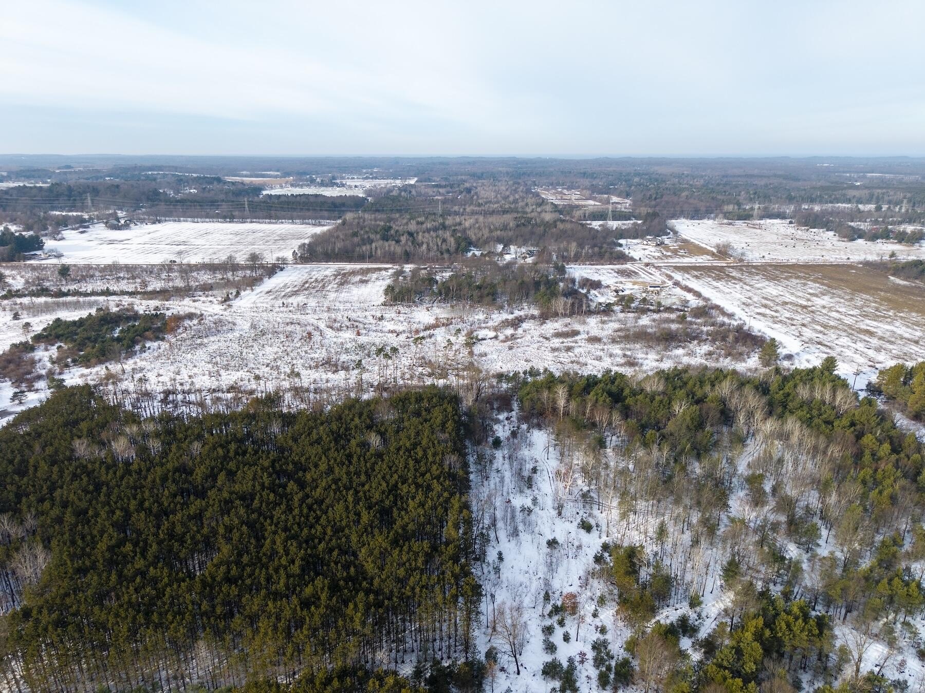 Oceana County 30-Acre Hunting Land
