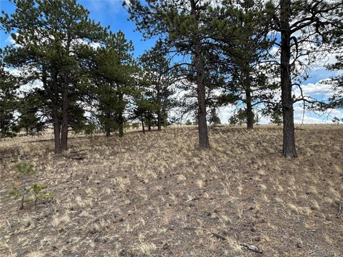 Land, Hartsel, CO