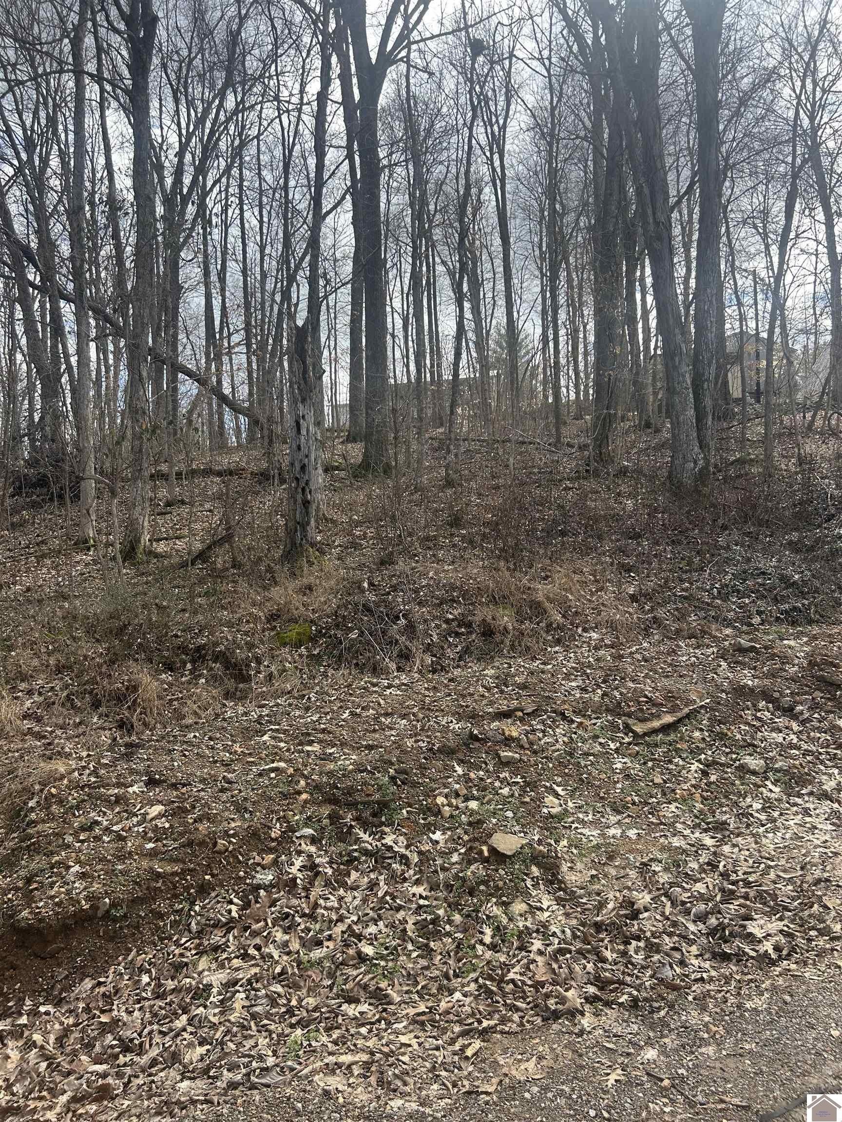 Residential Lot Near Lake Barkley