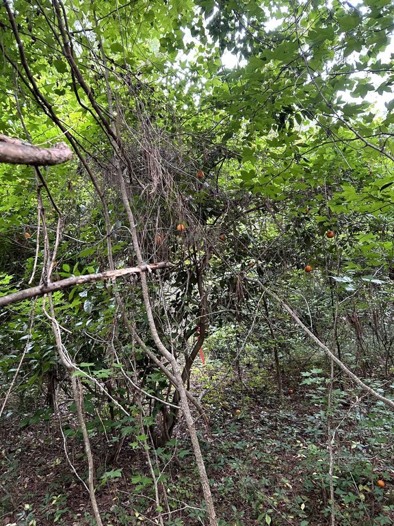 Picture 19