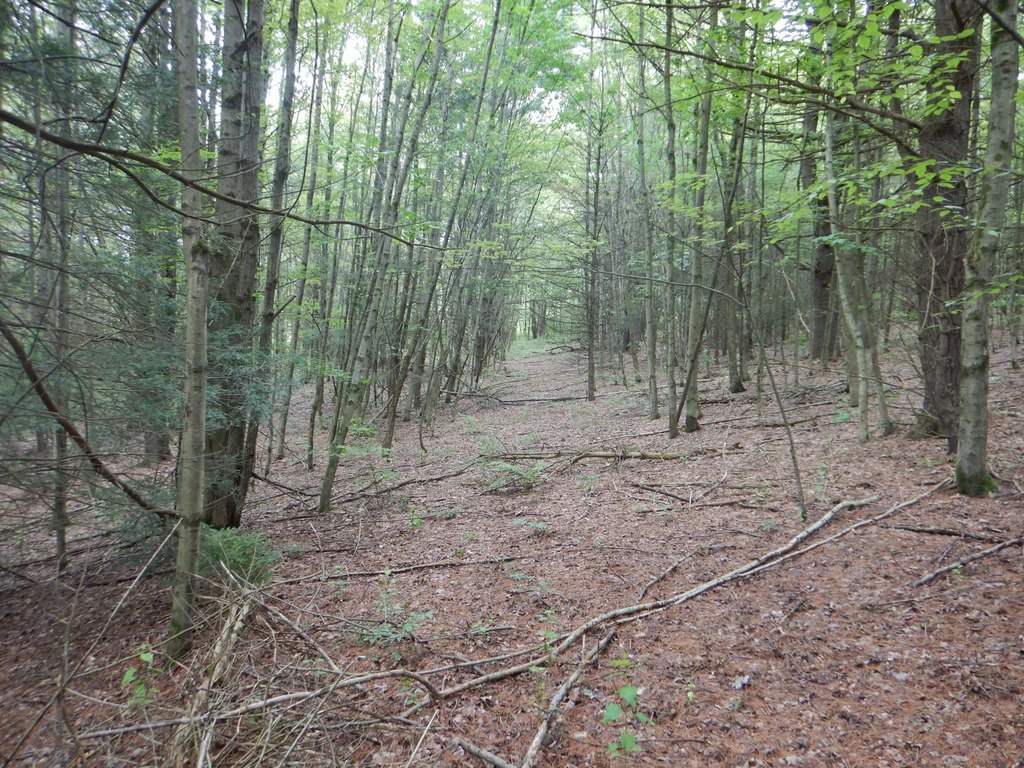 Picture 6
