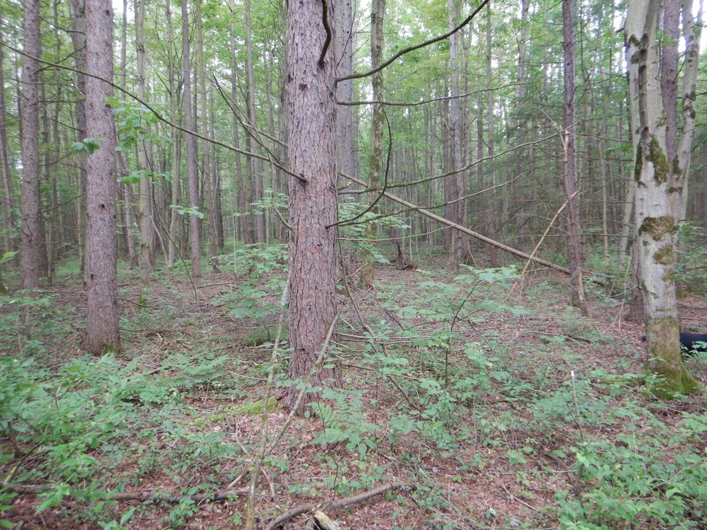 Picture 7