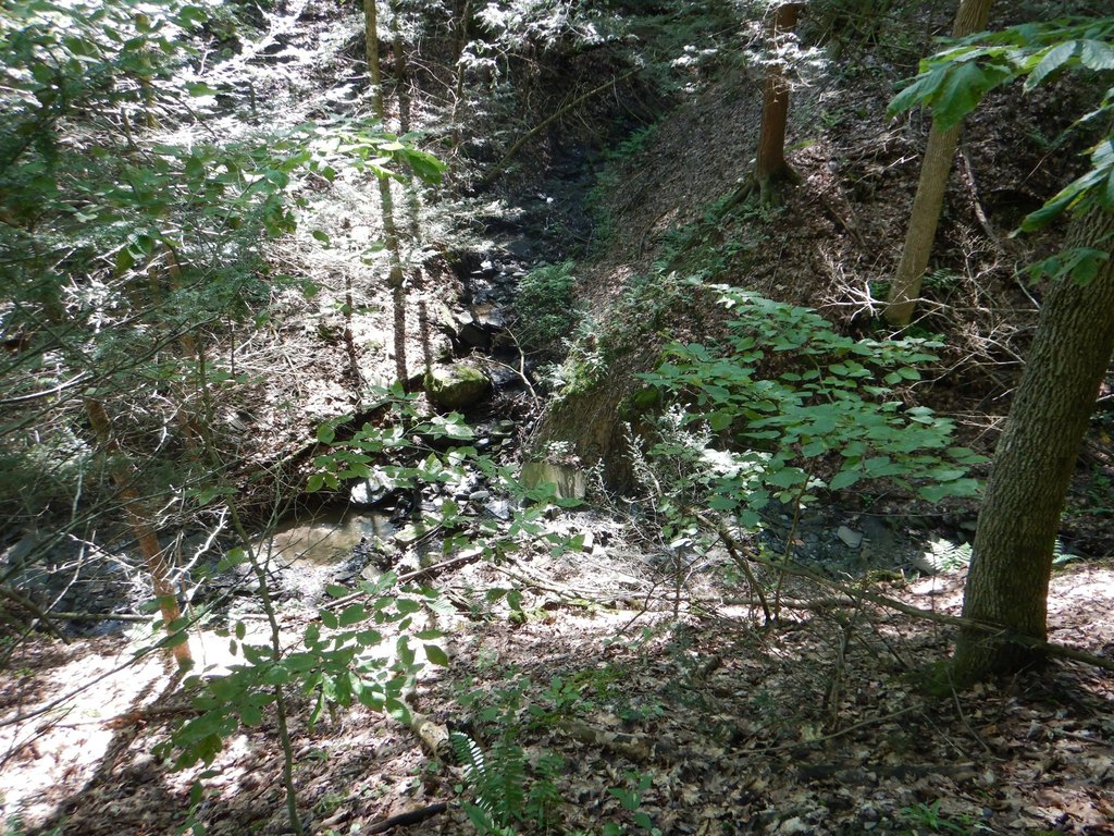 Picture 11