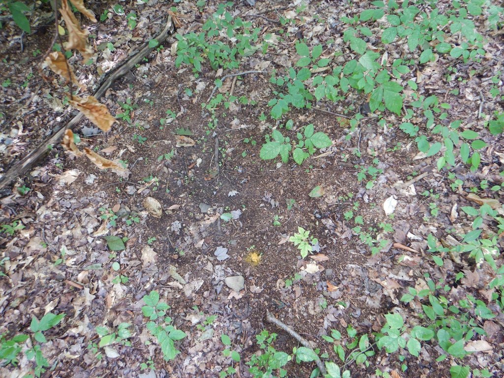 Picture 14
