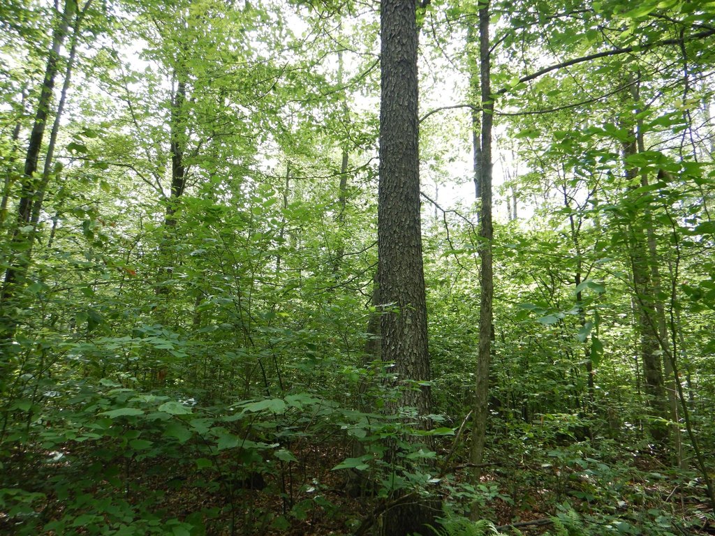 Picture 4