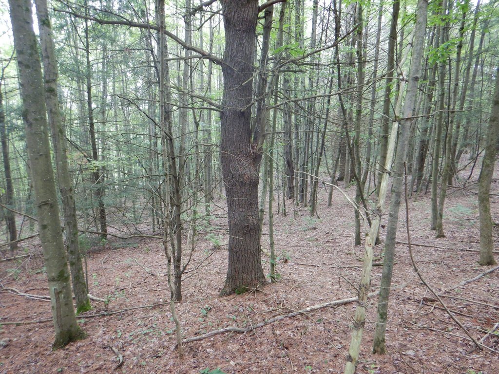 Picture 30