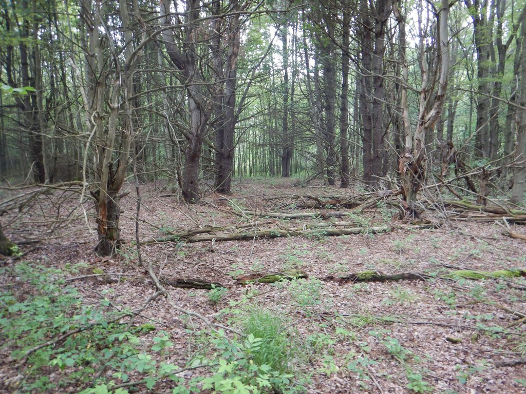 Picture 23