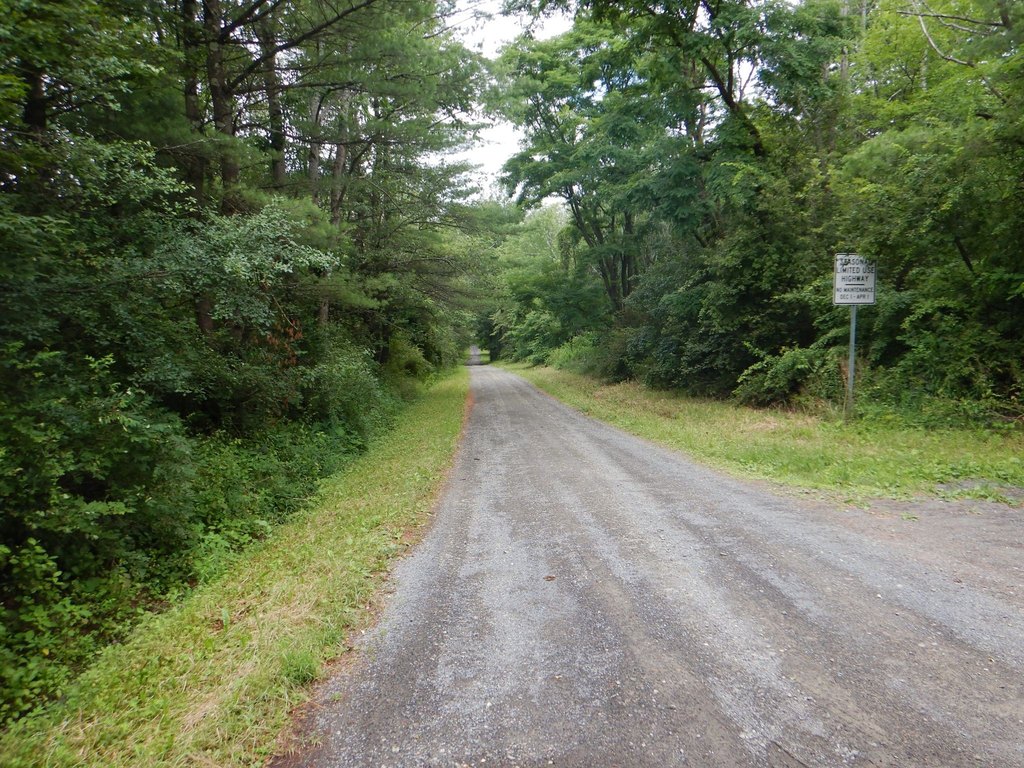 Picture 27
