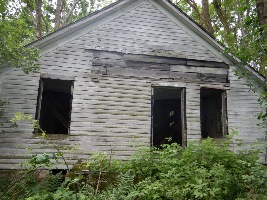 Picture 21