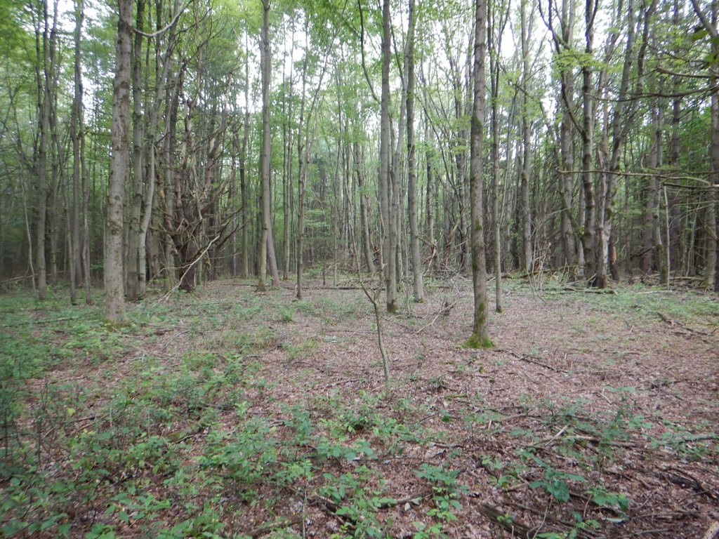 Picture 36