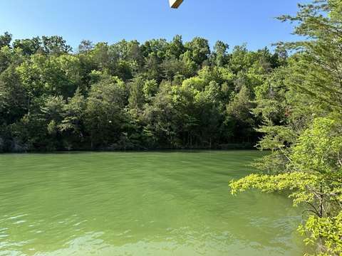 Douglas Lake Shoreline Lots