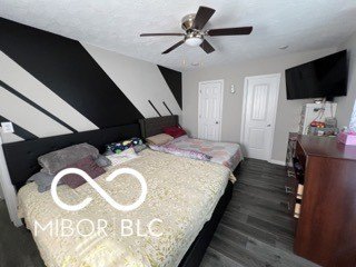 Picture 12