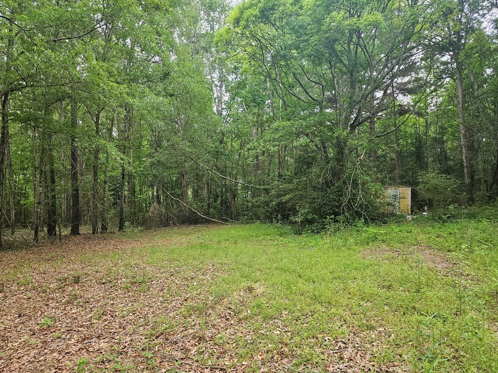Picture 13