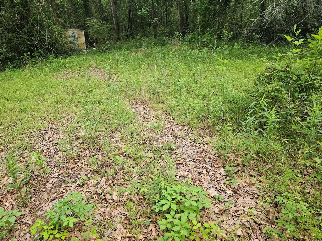 Picture 15