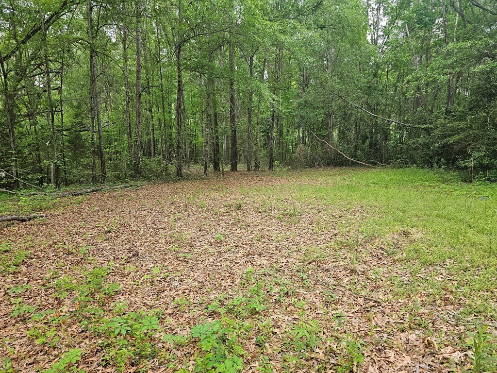 Picture 14