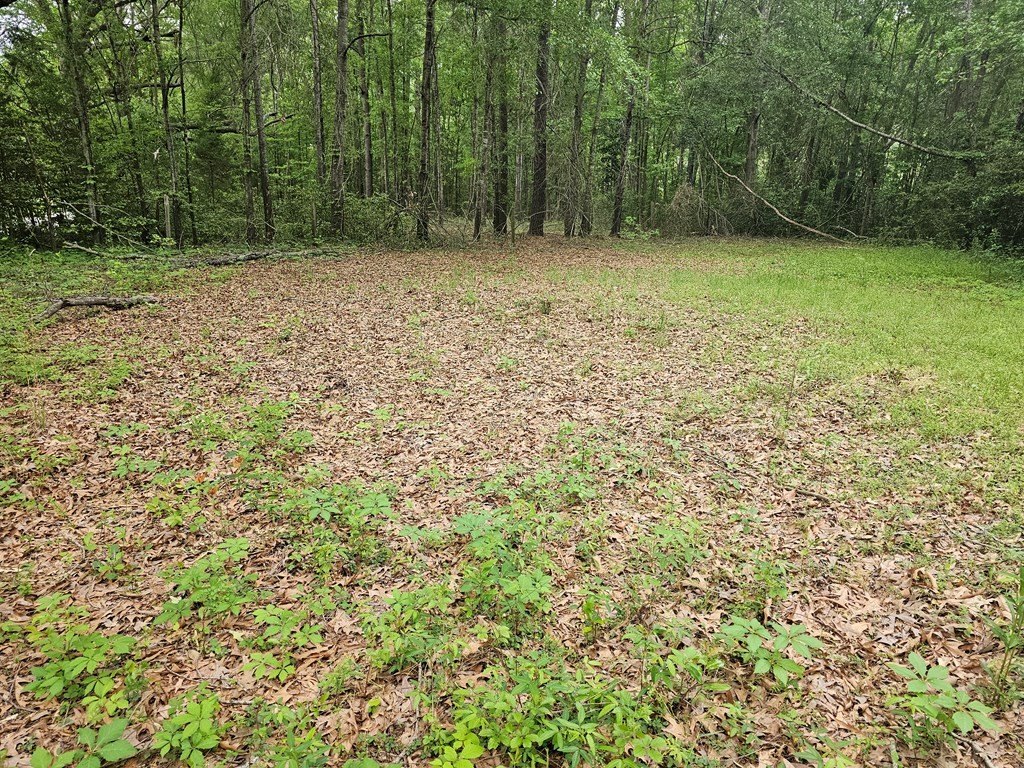 Picture 16