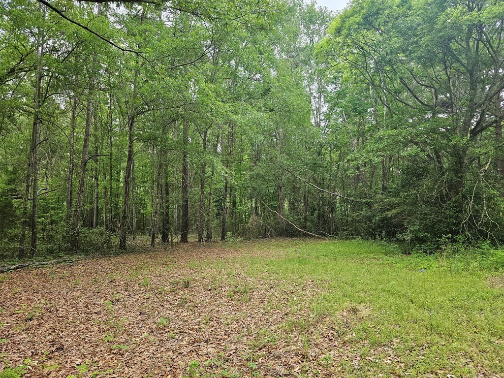 Picture 12
