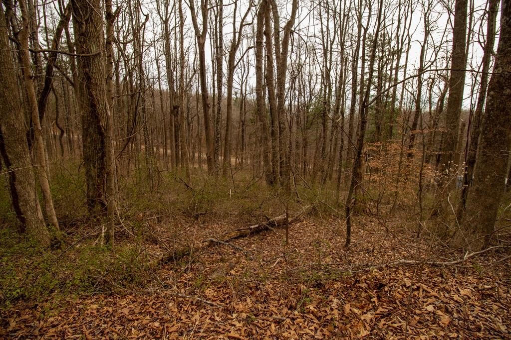 Residential Lot in Gated Community