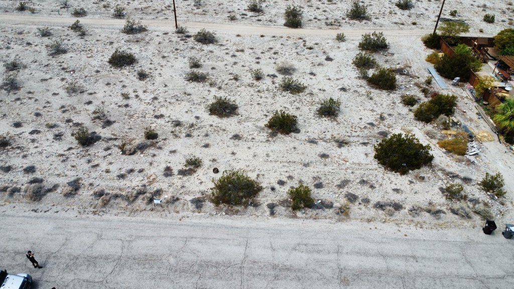 Picture 8