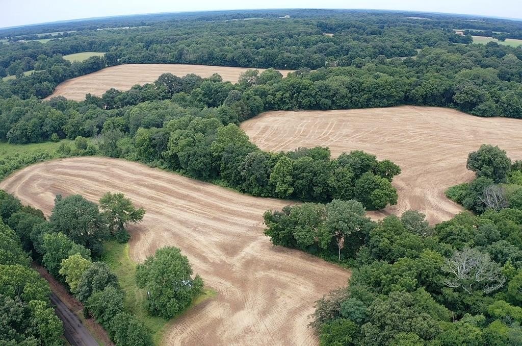 57 Acres of Land, McKenzie
