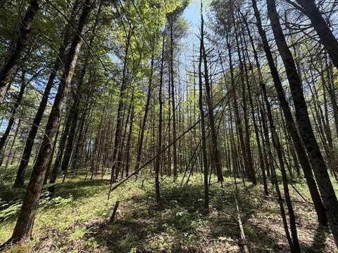 PLEASANT PLAINS TWP, MI
