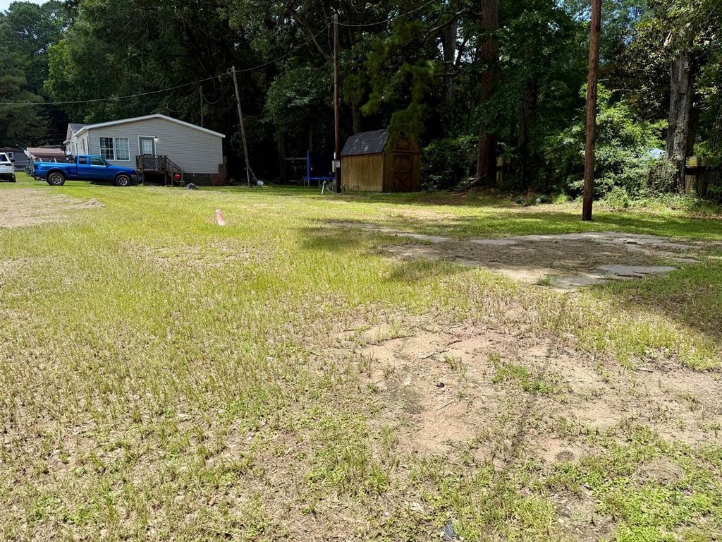 Picture 4