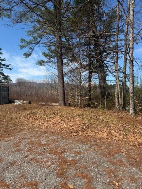 Picture 3