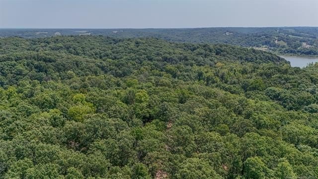 60 Acres Timber Hunting Land