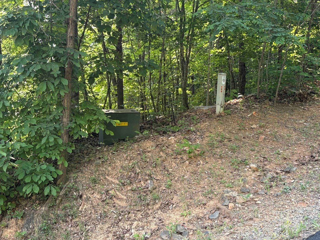 Picture 8