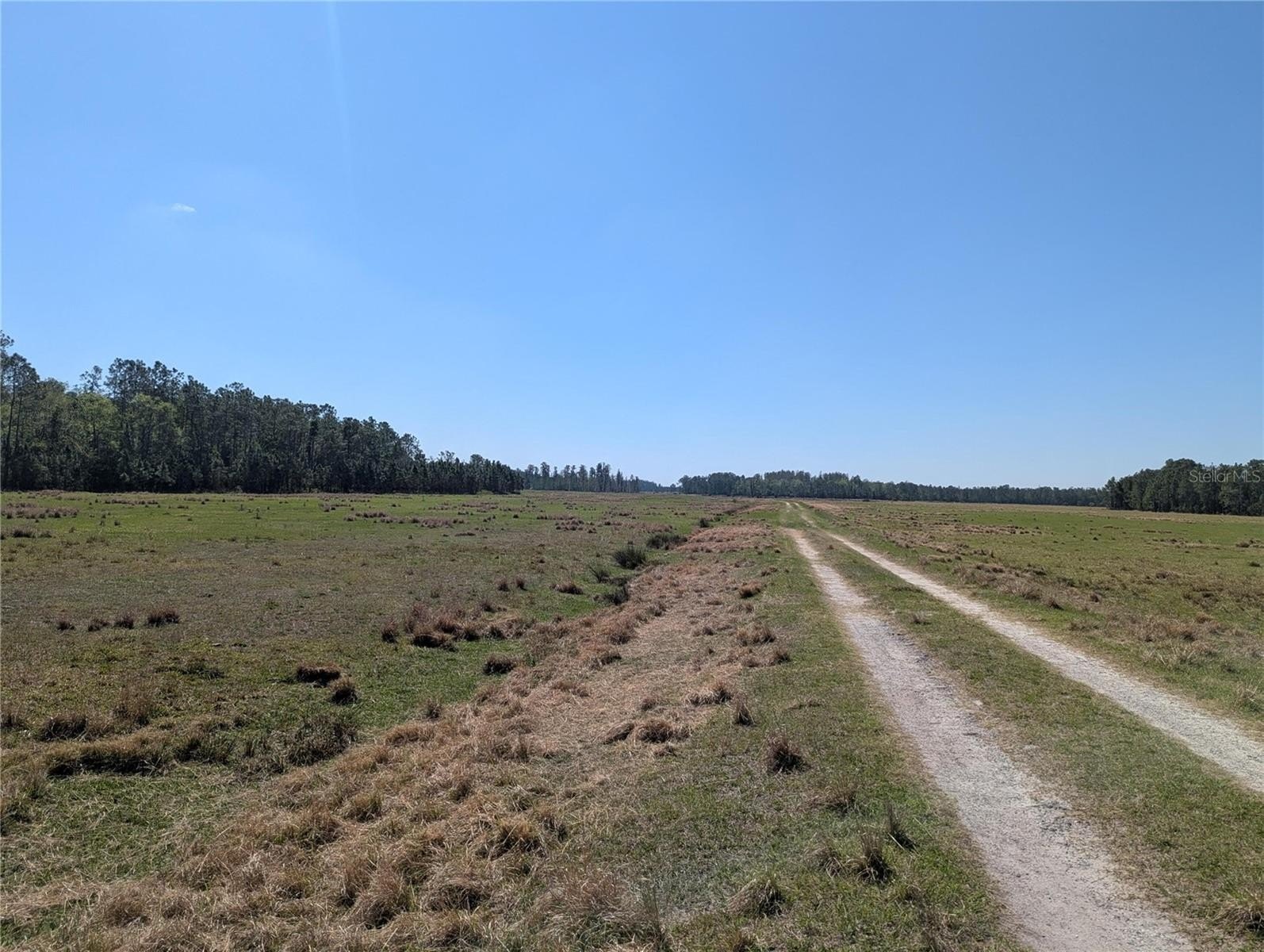 Vacant Farmable Land Opportunity