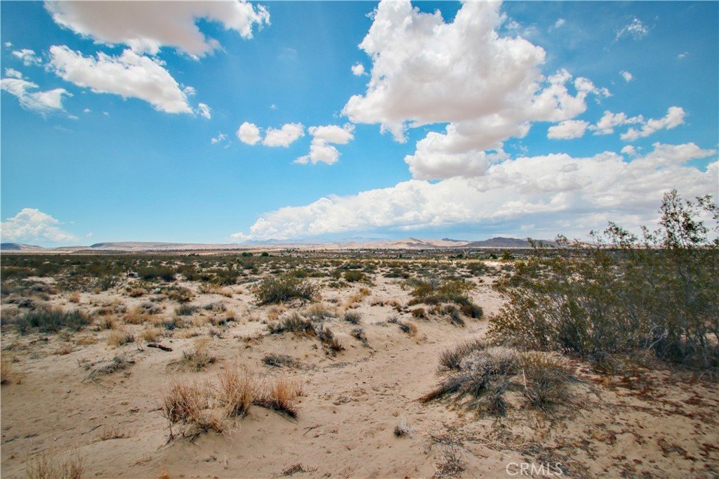 Picture 20